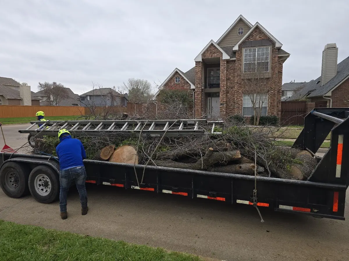 Expert Tree Removal with proper safety equipment in Huguenot